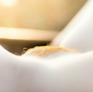 Meet your Posher, Joao